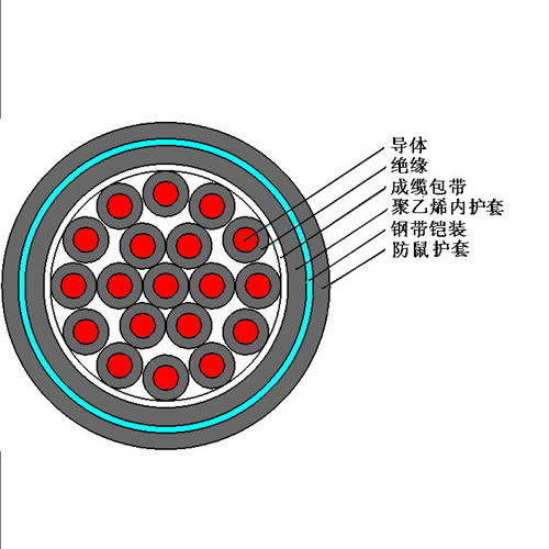 FS-KVVP2（防鼠、防白蟻型屏蔽控制電纜）