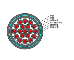 FS-KVVP2（防鼠、防白蟻型屏蔽控制電纜）